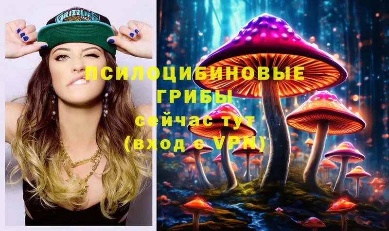 закладка  Новосиль  Галлюциногенные грибы Magic Shrooms 